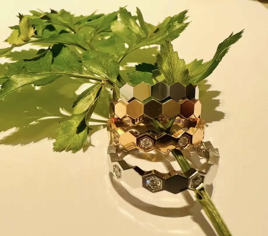 玫瑰金挂坠：时尚百搭的奢华饰品，热门选购指南及保养技巧揭秘！